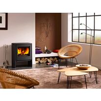 Poêle à bois en fonte de style contemporain | Scope Saey