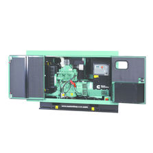 Groupe électrogène de 55 kVA | C55 D5(S)
