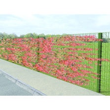 Clôture métallique végétalisable | Bipalis Cloture