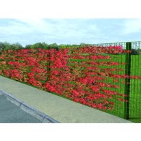 Clôture métallique végétalisable | Bipalis Cloture