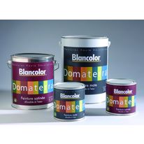 Peinture satinée non jaunissante et lessivable | Domaterra satin