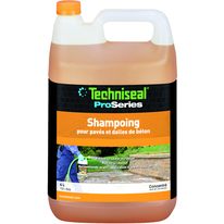 Shampoing pour revêtements extérieurs | Shampoing