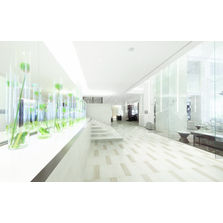 Carreaux imitation travertin | Uniqua