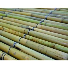 Tissus métallique à tiges de bambou | Native bamboo