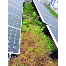 Complexe photovoltaïque végétalisé sur consoles inclinées | Soprasolar Tilt Green