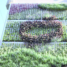 Panneau de végétalisation pour façade | Live Panel