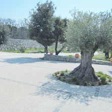 Béton à texture minérale apparente | Nuantis Minéral [CAN286]