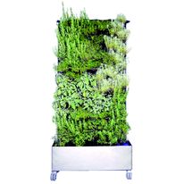 Mur végétal assainissant mobile | Mur Assainissant