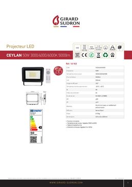 Projecteur LED 50 W 5 000 lm Dim/CCT IP65 IK08 + télécommande | CEYLAN 161183