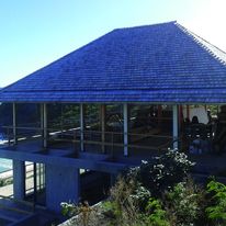 Tuiles de bois traitées anti termites | Douglas Standard