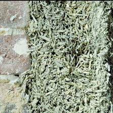 Isolant en chanvre à projeter ou épandre | Doublage Isolant Intérieur