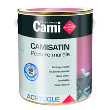 Peinture murale satinée veloutée à séchage rapide | Camisatin