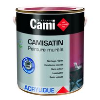 Peinture murale satinée veloutée à séchage rapide | Camisatin