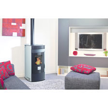 Poêle à granulés étanche avec conduit double fonction | Forest BV