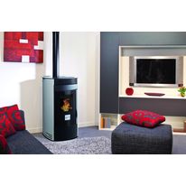 Poêle à granulés étanche avec conduit double fonction | Forest BV