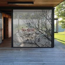 Tissus adhésifs pour vitrage personnalisables| Squid