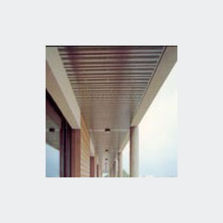 Lames métalliques à poser jointivement ou non sur ossature cachée | B300