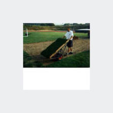 Gazon pour pelouse | Pavé express