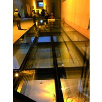 Plancher vitré CF 90 minutes | Plancher REI90 T116