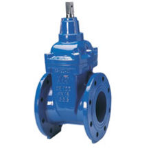 Robinet-vanne à opercule à raccorder par brides standard court | Série 14