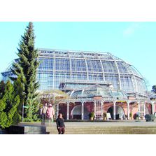 Intercalaire clair pour verre de sécurité | Ionoplast Sentryglas N-UV