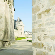 Liant à la chaux aérienne multi usage | Tradical bâtir