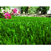 Gazon synthétique imputrescible | Gazon