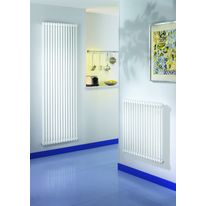 Gamme de radiateurs à colonnes en acier | Crealis