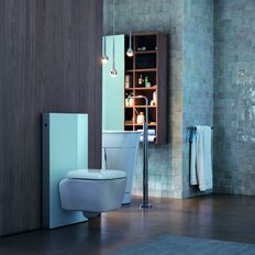 Panneau sanitaire pour WC suspendu ou au sol | Panneau WC Monolith