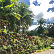 Bloc béton pour mur de soutènement végétalisé  de 4 à 24 m de hauteur avec massif renforcé | Atalus 120