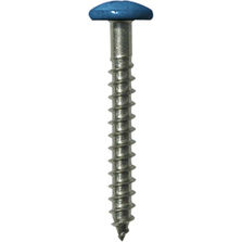 Vis pour fixation de plaques en fibres-ciment sur ossature bois