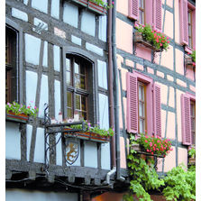 Badigeon à la chaux aérienne en 45 teintes | Rénostyl Badigeon/Pigments