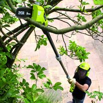 Elagueur à chaîne télescopique | RPP1820LI