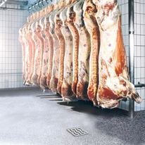 Siphons et caniveaux pour boucherie | BLÜCHER® 