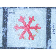 Indicateur thermosensible pour risque de verglas | Indicateur de gel