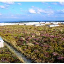 Système de végétalisation de toiture pour le stockage temporaire de l'eau | Système Optigreen toiture à rétention d'eau type Méandres