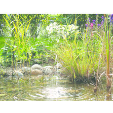 Fontaine solaire | Pondosolar 150