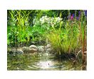 Fontaine solaire | Pondosolar 150