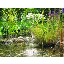 Fontaine solaire | Pondosolar 150