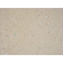 Plâtre traditionnel de ravalement savoyard | Grillaz