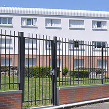 Portail pivotant à barreaudage tubulaire pour tout type de site | Primalis portail pivotant