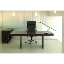 Bureau à deux pieds galbés | Orion