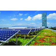 Végétalisation de toiture support de panneaux photovoltaïques | Heliovert