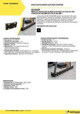 Module bouclier blindé RAS du sol | PARGOM H.300 mm L.500 mm 