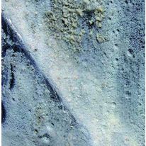 Décapant béton haute performance prêt à l'emploi | Guard Tech Remover