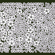 Papier peint intissé à motif floral | Champ de fleur