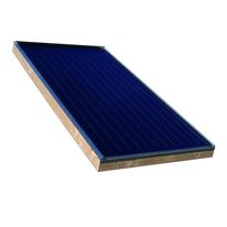 Capteur pour la production d'ECS et de chauffage | IK 12