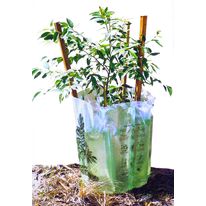 Protection auto-arrosante pour jeune plant | Water Tube