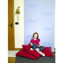 Plaque acoustique multi-usage | Placo Phonique
