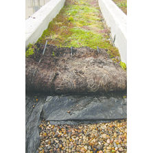 Végétalisation pour surfaces planes, pentées ou verticales | Tapis Minute